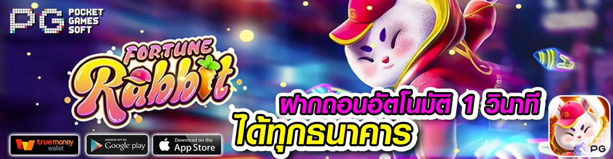 oho555